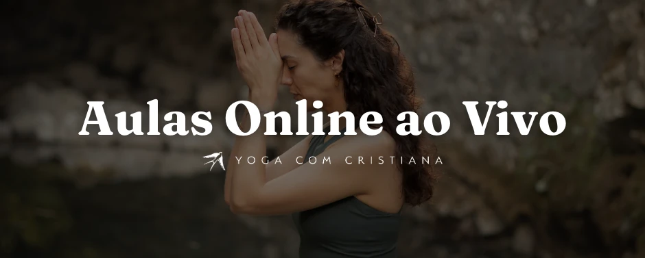 Banner aulas ao vivo telm