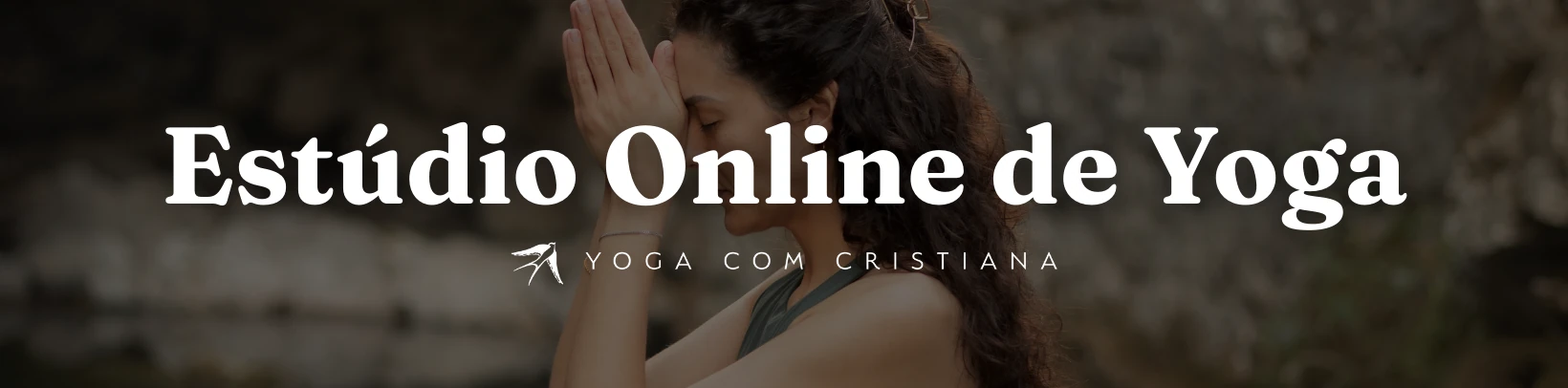 banner estudio pc